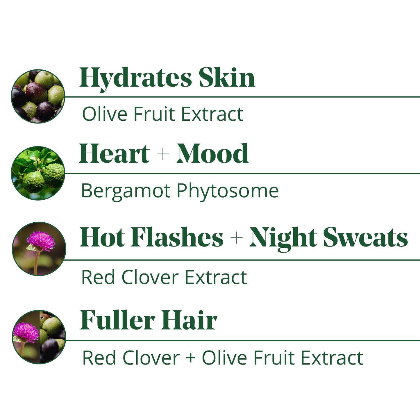 Menopause Essentials