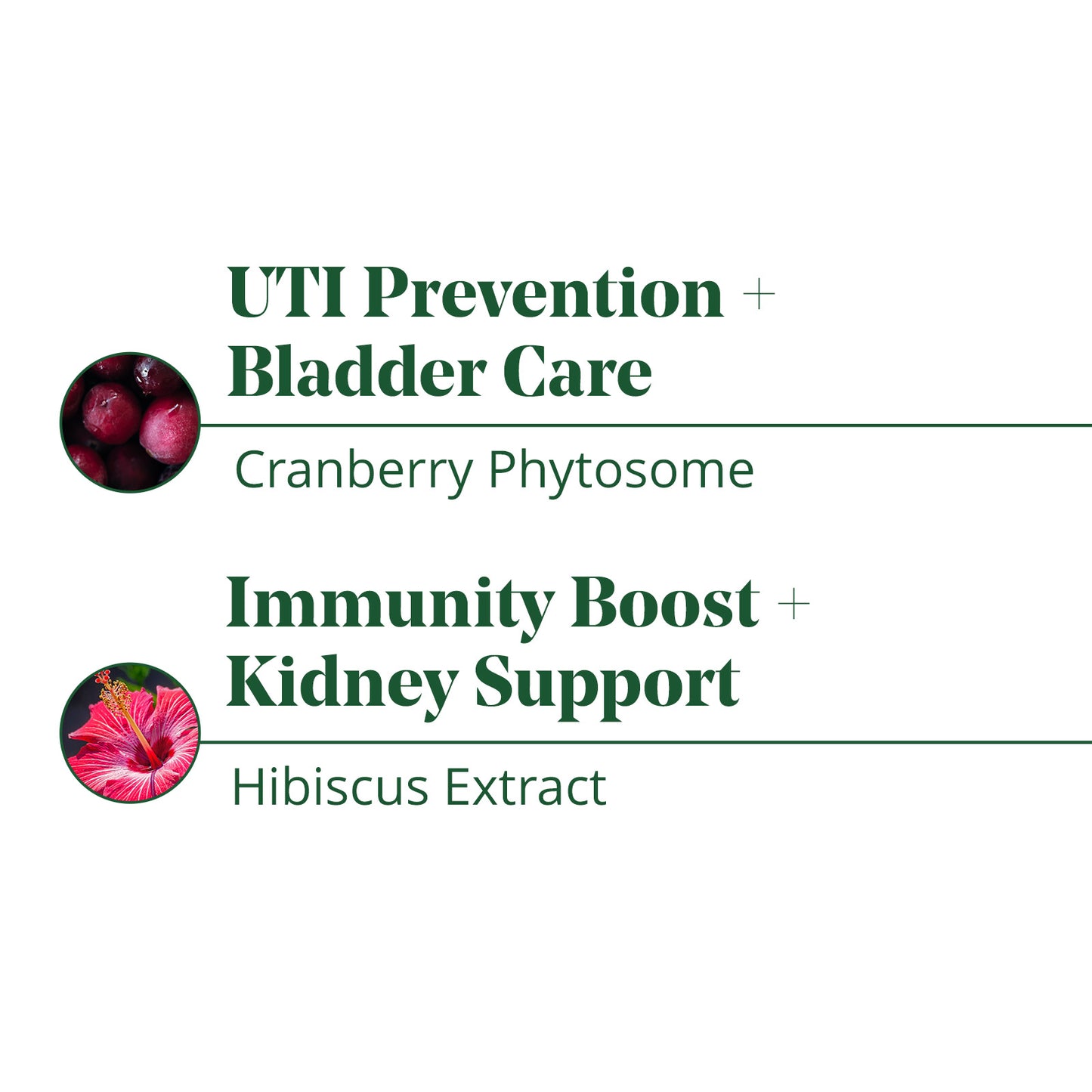 Buy 2 Get One Free Urinary Cleanse & Protect