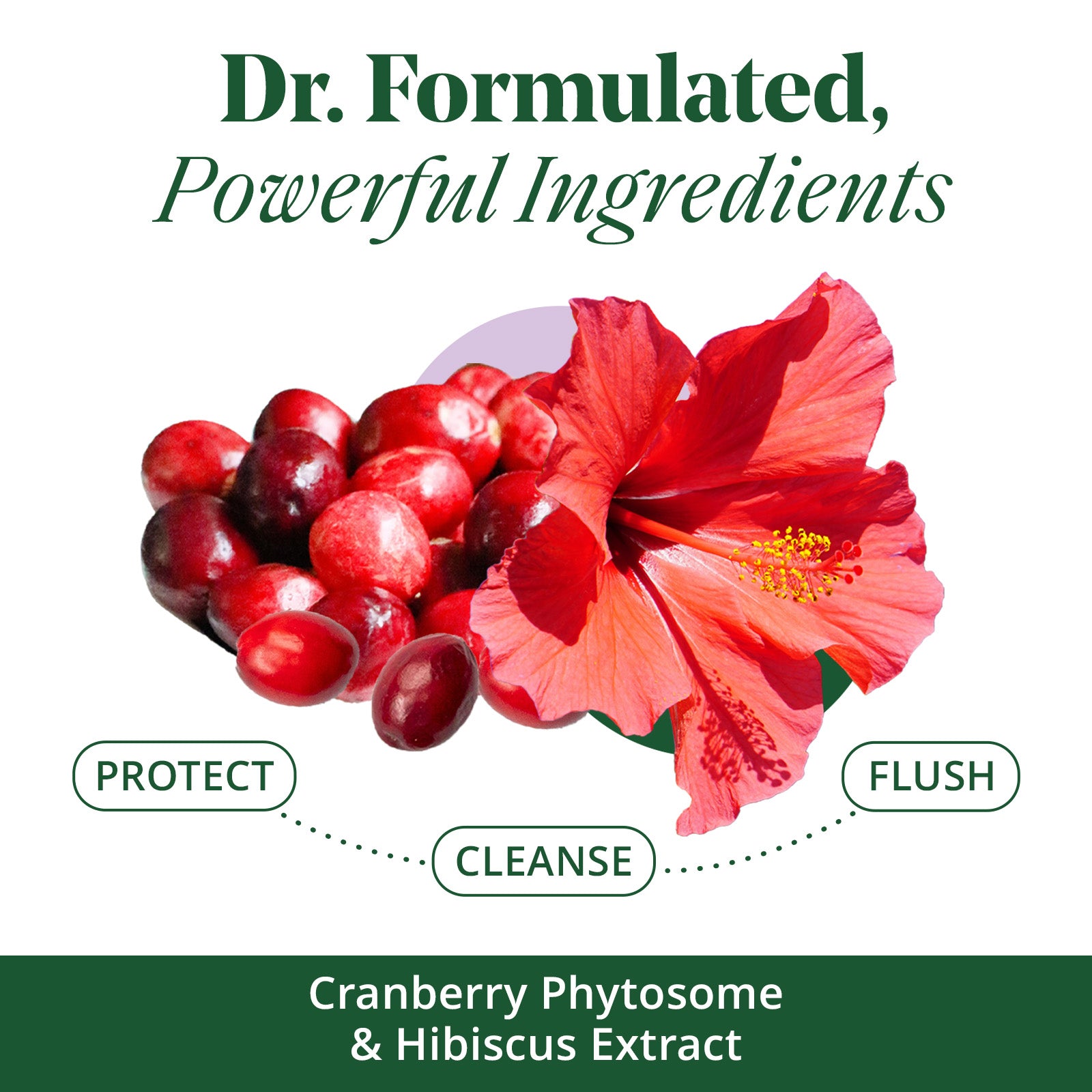 Urinary Tract Cleanse & Protect