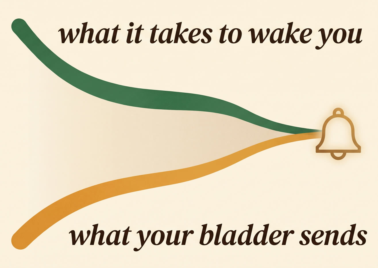 Chart showing the signal it takes to wake you falling while the signal an irritated bladder sends rises, until the two meet