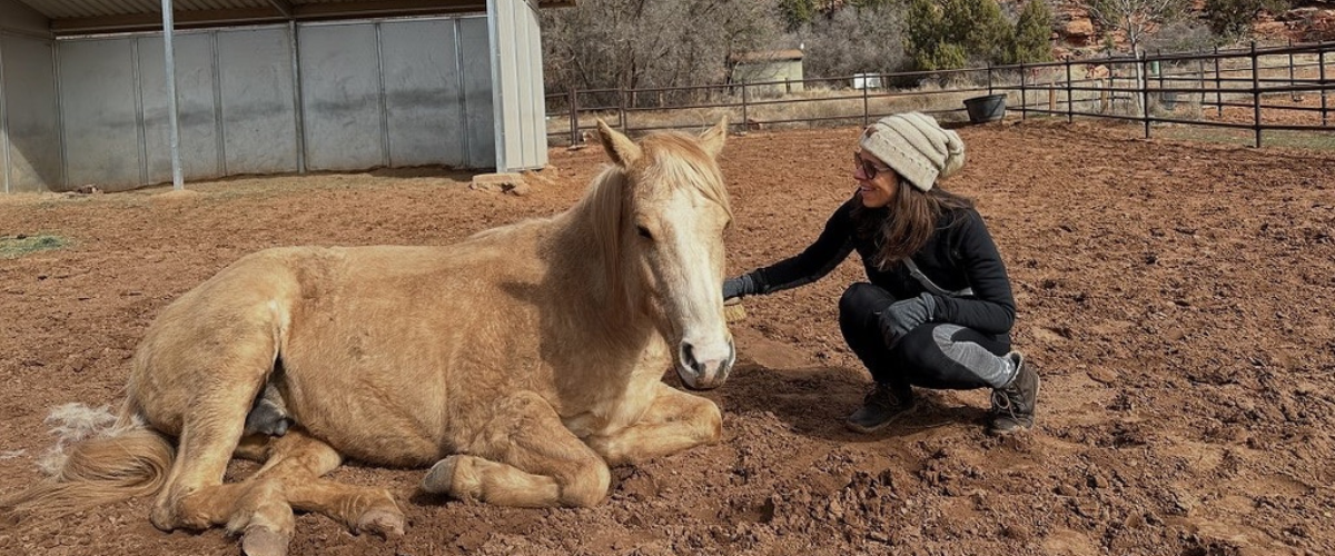 Nichole with horse