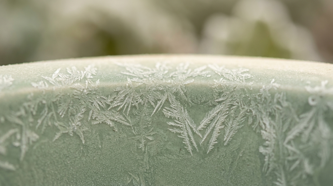 Fine branching frost or fern fractals on a soft sage-green surface
