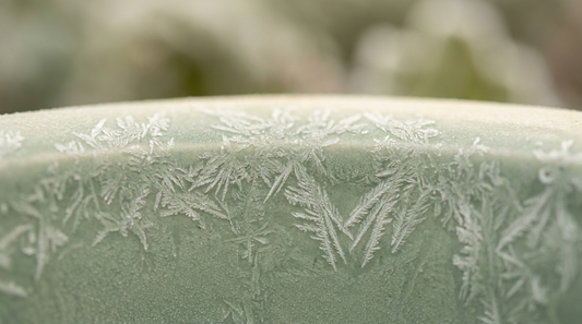Fine branching frost or fern fractals on a soft sage-green surface