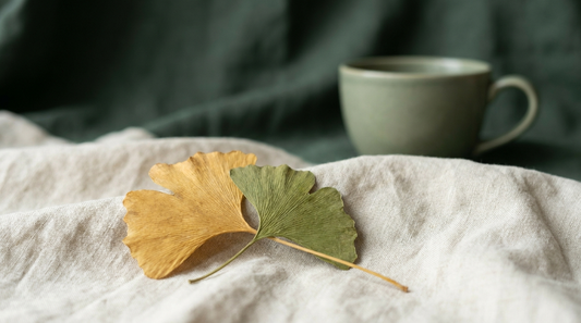 Two ginkgo leaves resting on cream linen in soft light, quiet reflective still-life.