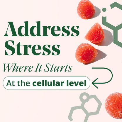 Stress Less Gummy