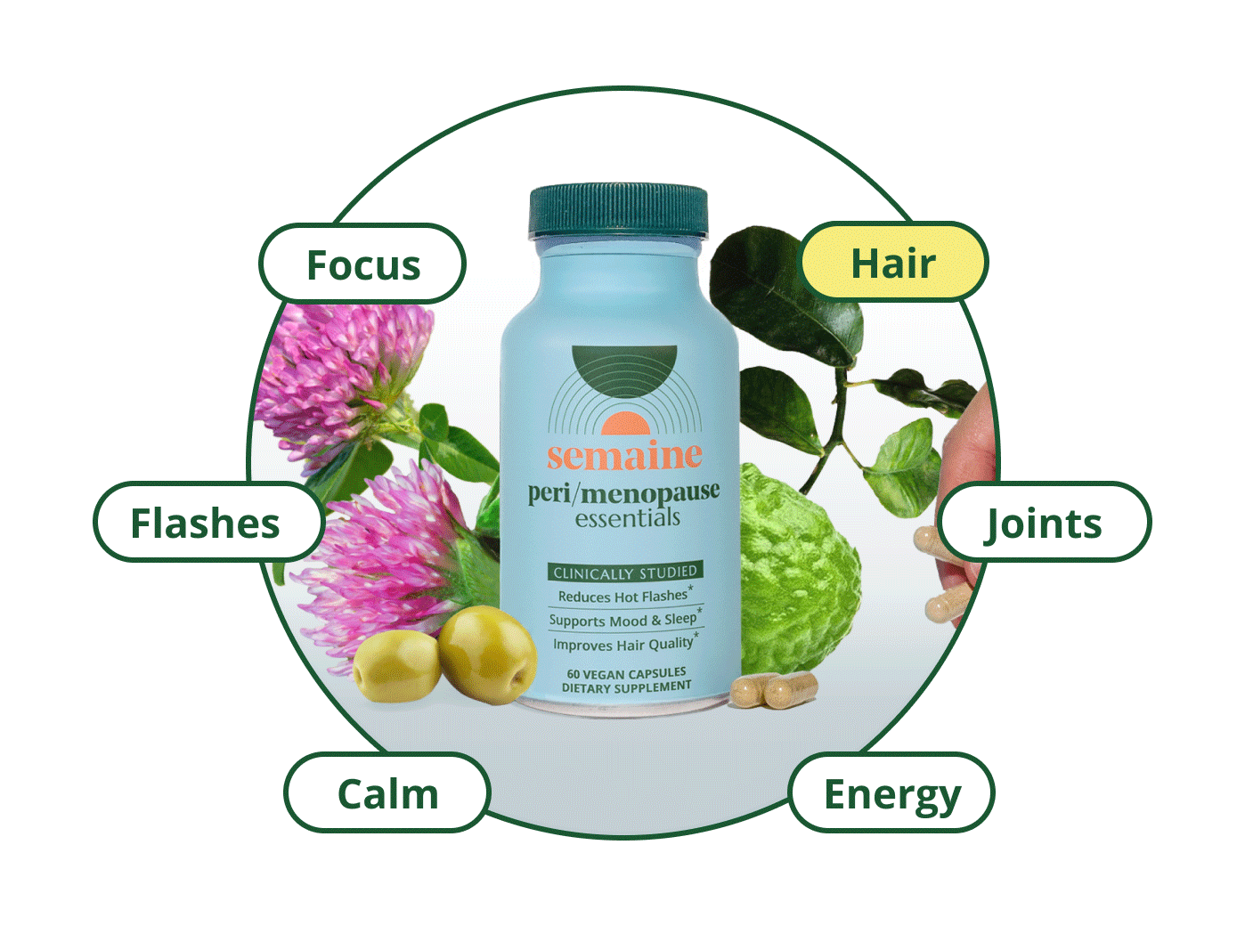 Three Mediterranean compounds mapped to the systems estrogen regulates: focus, hair, hot flashes, joints, calm, energy