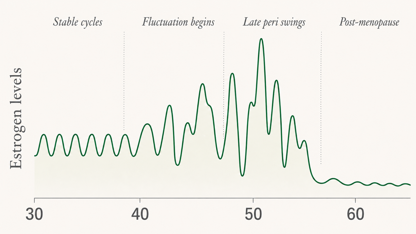 Estrogen levels across the transition: stable cycles in the 30s, increasing fluctuation through the 40s, dramatic swings in late peri, lower stable levels post-menopause