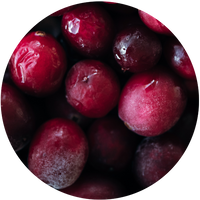 Cranberry phytosome