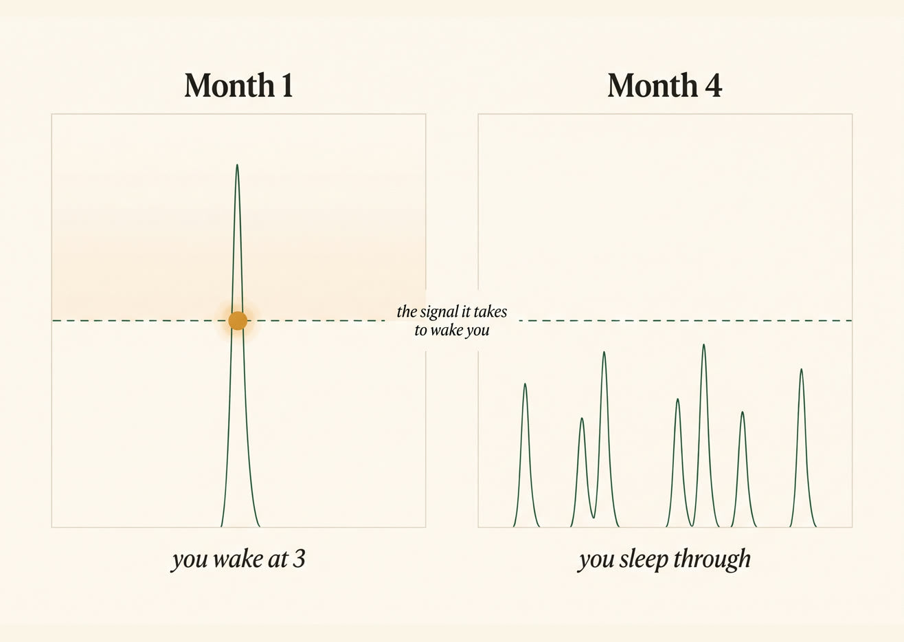 Chart showing the signal it takes to wake you falling while the signal an irritated bladder sends rises, until the two meet